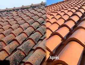 Nettoyage de toiture à Saujon 17600