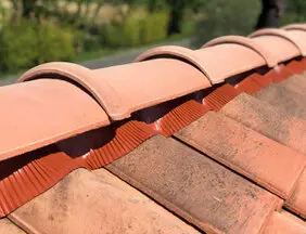 Nettoyage de toiture à Saujon 17600